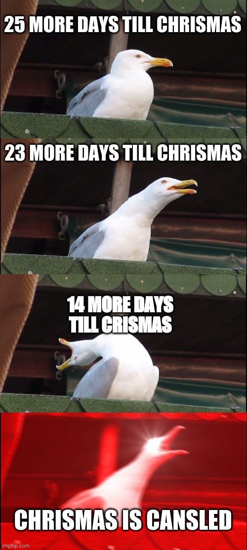 chrismas segles | 25 MORE DAYS TILL CHRISMAS; 23 MORE DAYS TILL CHRISMAS; 14 MORE DAYS TILL CRISMAS; CHRISMAS IS CANSLED | image tagged in memes,inhaling seagull | made w/ Imgflip meme maker