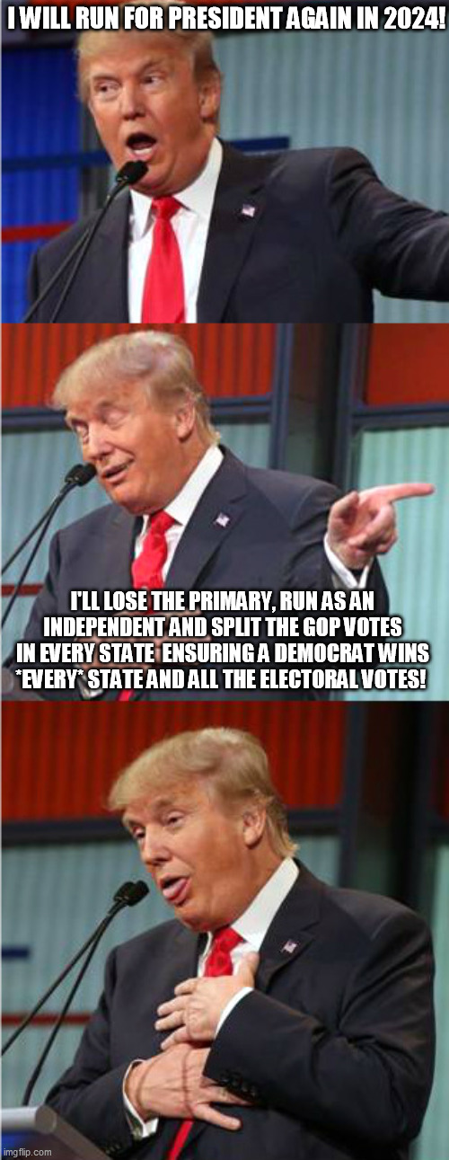 Trump plans for the future. WINNING as usual! | I WILL RUN FOR PRESIDENT AGAIN IN 2024! I'LL LOSE THE PRIMARY, RUN AS AN INDEPENDENT AND SPLIT THE GOP VOTES IN EVERY STATE  ENSURING A DEMOCRAT WINS *EVERY* STATE AND ALL THE ELECTORAL VOTES! | image tagged in bad pun trump,trump 2024,lol,trumptards | made w/ Imgflip meme maker