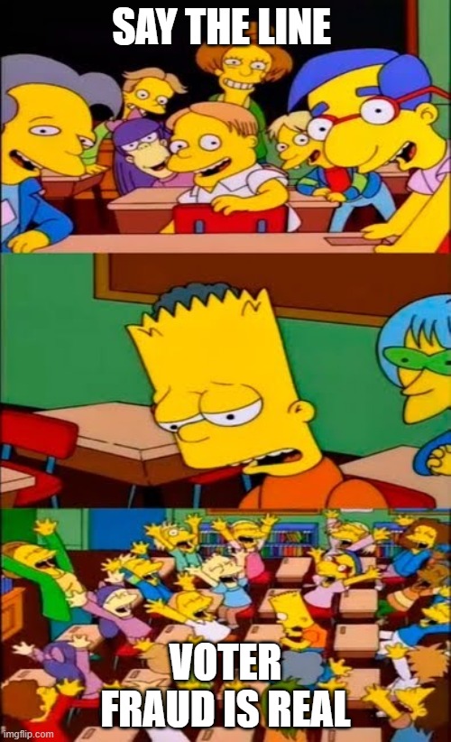 say the line bart! simpsons | SAY THE LINE; VOTER FRAUD IS REAL | image tagged in say the line bart simpsons | made w/ Imgflip meme maker