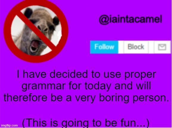 Please let me know if you catch me making a grammatical error. | I have decided to use proper grammar for today and will therefore be a very boring person. (This is going to be fun...) | image tagged in iaintacamel,laughing out loud | made w/ Imgflip meme maker