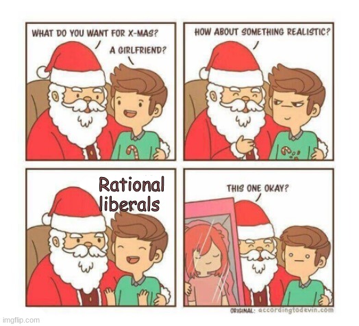 What do you want for xmas 2 | Rational liberals | image tagged in what do you want for xmas 2 | made w/ Imgflip meme maker