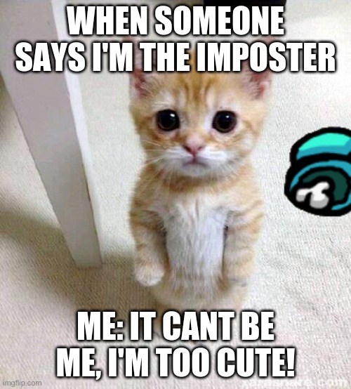 Cute Cat Meme | WHEN SOMEONE SAYS I'M THE IMPOSTER; ME: IT CANT BE ME, I'M TOO CUTE! | image tagged in memes,cute cat | made w/ Imgflip meme maker