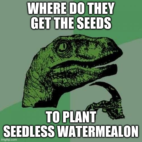 Philosoraptor Meme | WHERE DO THEY GET THE SEEDS; TO PLANT SEEDLESS WATERMEALON | image tagged in memes,philosoraptor,fun,funny,funny mem | made w/ Imgflip meme maker