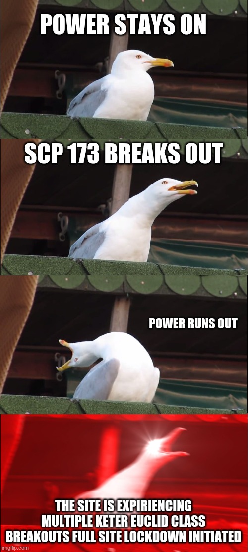 Inhaling Seagull | POWER STAYS ON; SCP 173 BREAKS OUT; POWER RUNS OUT; THE SITE IS EXPIRIENCING MULTIPLE KETER EUCLID CLASS BREAKOUTS FULL SITE LOCKDOWN INITIATED | image tagged in memes,inhaling seagull | made w/ Imgflip meme maker