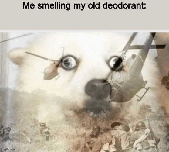 *shivers* | Me smelling my old deodorant: | image tagged in ptsd dog | made w/ Imgflip meme maker
