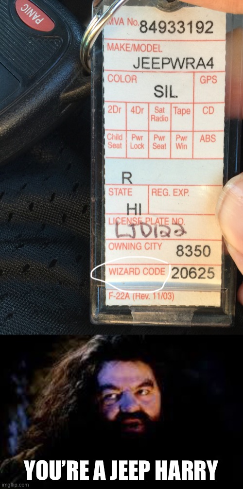 My keys to my rental car that I used 2 years ago for a vacation has a wizard code? | YOU’RE A JEEP HARRY | image tagged in your a wizard harry | made w/ Imgflip meme maker