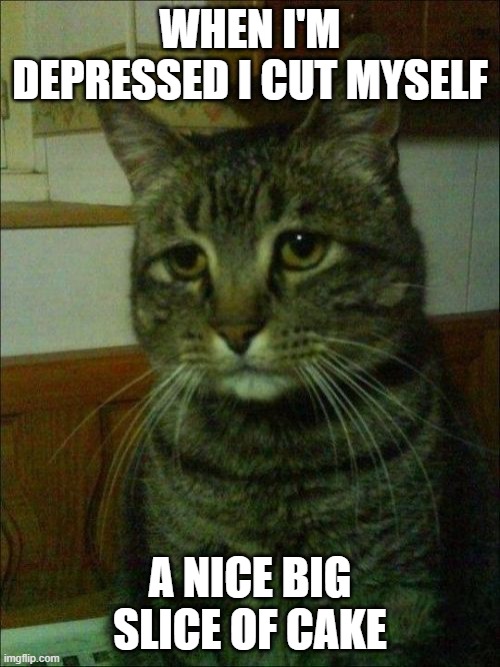 Depressed Cat | WHEN I'M DEPRESSED I CUT MYSELF; A NICE BIG SLICE OF CAKE | image tagged in memes,depressed cat | made w/ Imgflip meme maker