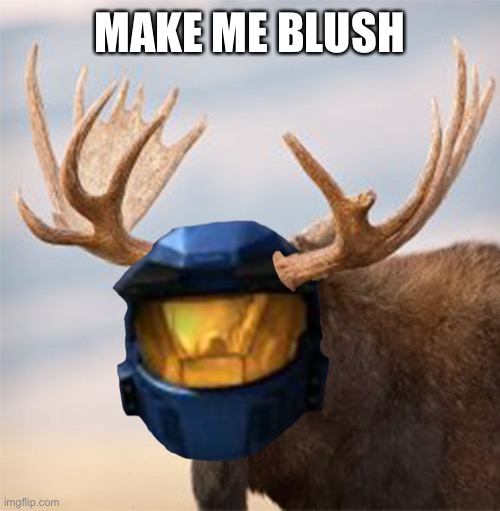 Haha trend go brrrrrr | MAKE ME BLUSH | image tagged in camoose,memes | made w/ Imgflip meme maker