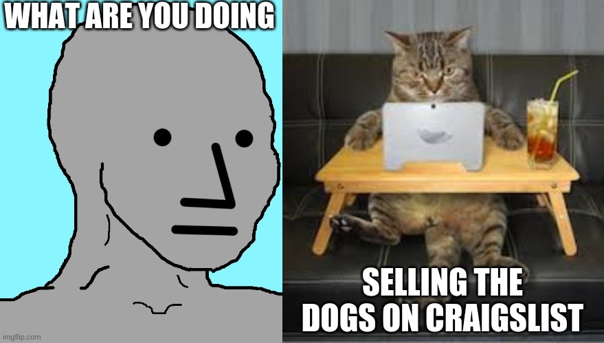 WHAT ARE YOU DOING; SELLING THE DOGS ON CRAIGSLIST | image tagged in memes,npc | made w/ Imgflip meme maker