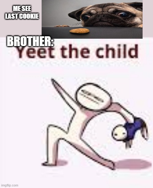 single yeet the child panel | ME SEE LAST COOKIE; BROTHER: | image tagged in single yeet the child panel | made w/ Imgflip meme maker
