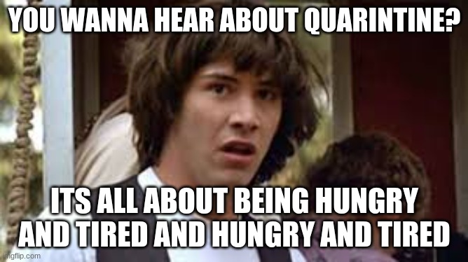 Quarantine | YOU WANNA HEAR ABOUT QUARINTINE? ITS ALL ABOUT BEING HUNGRY AND TIRED AND HUNGRY AND TIRED | image tagged in bill and ted | made w/ Imgflip meme maker
