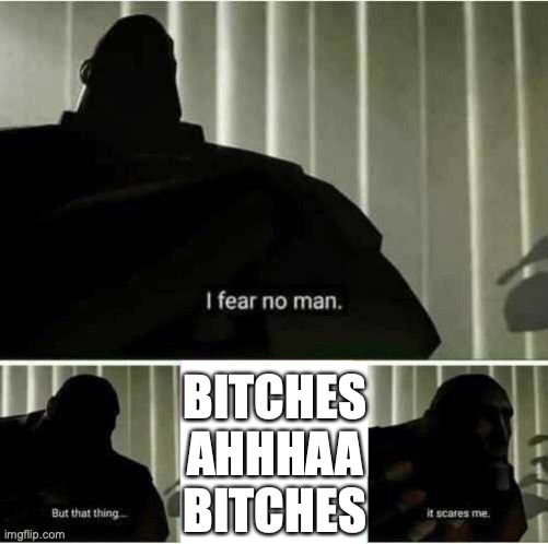 ahaahahahhaha | BITCHES AHHHAA BITCHES | image tagged in i fear no man | made w/ Imgflip meme maker