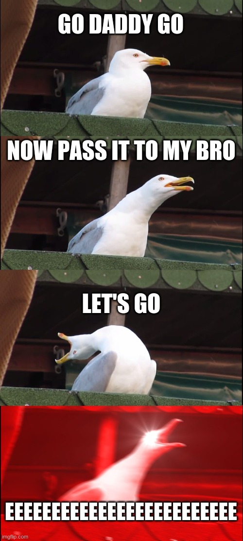 Inhaling Seagull | GO DADDY GO; NOW PASS IT TO MY BRO; LET'S GO; EEEEEEEEEEEEEEEEEEEEEEEEE | image tagged in memes,inhaling seagull | made w/ Imgflip meme maker