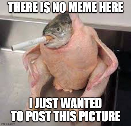 Turkey Fish smoking | THERE IS NO MEME HERE; I JUST WANTED TO POST THIS PICTURE | image tagged in turkey,fish | made w/ Imgflip meme maker