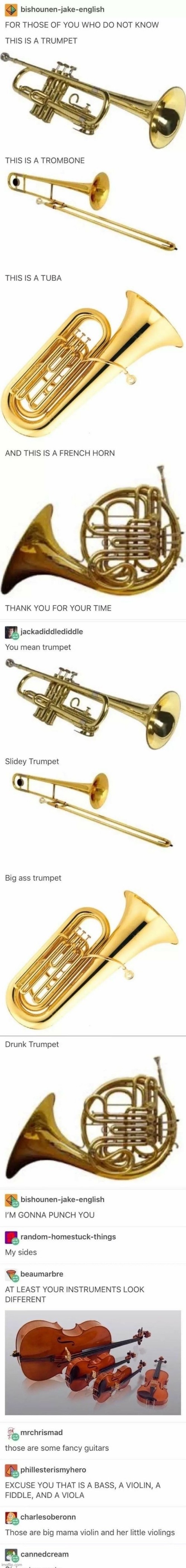 the trumpet | image tagged in trumpet,violin | made w/ Imgflip meme maker