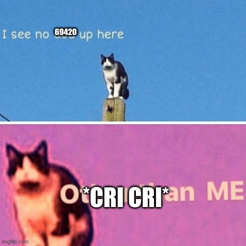 Hail pole cat | 69420 *CRI CRI* | image tagged in hail pole cat | made w/ Imgflip meme maker