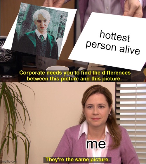 daddy draco |  hottest person alive; me | image tagged in memes,they're the same picture | made w/ Imgflip meme maker