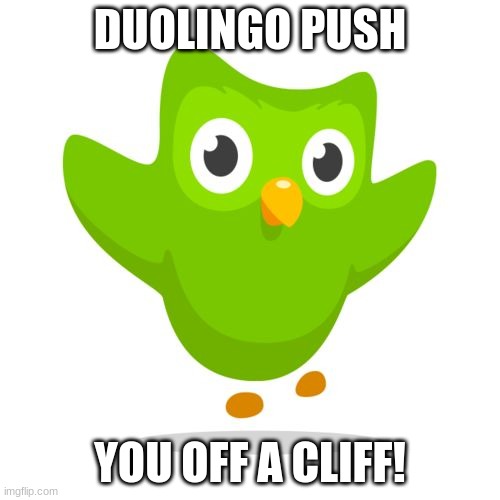 duo push! | DUOLINGO PUSH; YOU OFF A CLIFF! | image tagged in things duolingo teaches you | made w/ Imgflip meme maker