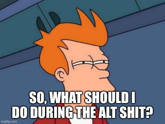 . | SO, WHAT SHOULD I DO DURING THE ALT SHIT? | image tagged in memes,futurama fry | made w/ Imgflip meme maker