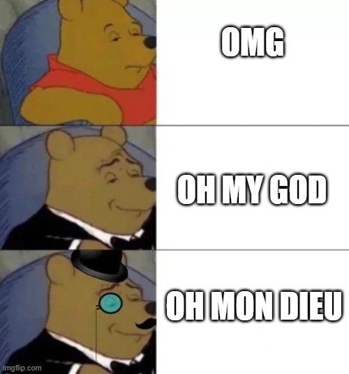 omg | OMG; OH MY GOD; OH MON DIEU | image tagged in memes,tuxedo winnie the pooh,omg,french | made w/ Imgflip meme maker