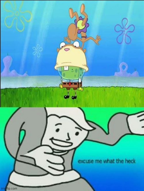 ExCuSe Me WhAt ThE hEcK | image tagged in excuse me what the heck | made w/ Imgflip meme maker