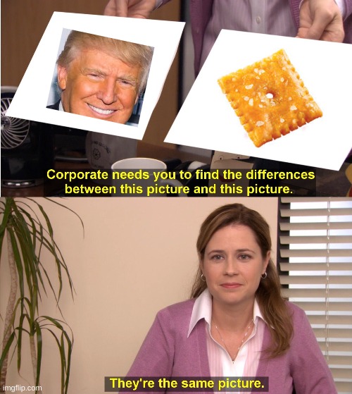 A dead meme | image tagged in memes,they're the same picture,donald trump | made w/ Imgflip meme maker