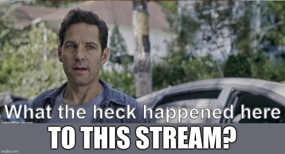 Lol | TO THIS STREAM? | image tagged in antman what the heck happened here,memes,alt raids,imgflip,streams | made w/ Imgflip meme maker