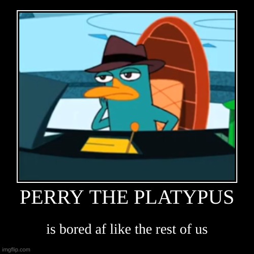 PERRY | image tagged in funny,demotivationals | made w/ Imgflip demotivational maker