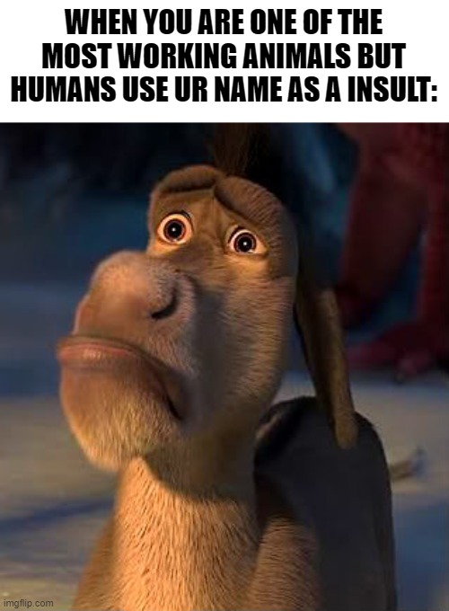 Donkey is sad :( |  WHEN YOU ARE ONE OF THE MOST WORKING ANIMALS BUT HUMANS USE UR NAME AS A INSULT: | image tagged in sad donkey | made w/ Imgflip meme maker