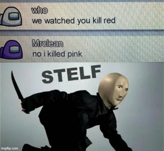 Ultimate stelf | image tagged in imgflip | made w/ Imgflip meme maker