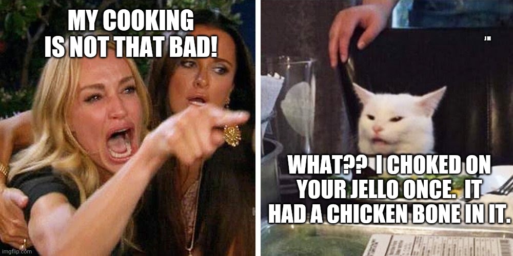 Smudge the cat | MY COOKING IS NOT THAT BAD! J M; WHAT??  I CHOKED ON YOUR JELLO ONCE.  IT HAD A CHICKEN BONE IN IT. | image tagged in smudge the cat | made w/ Imgflip meme maker