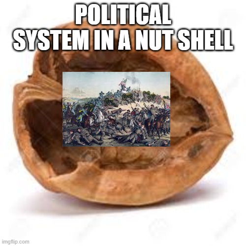 ah yes the political system is a ongoing battle field | POLITICAL SYSTEM IN A NUT SHELL | image tagged in in a nut shell,politics,bruh,political system | made w/ Imgflip meme maker