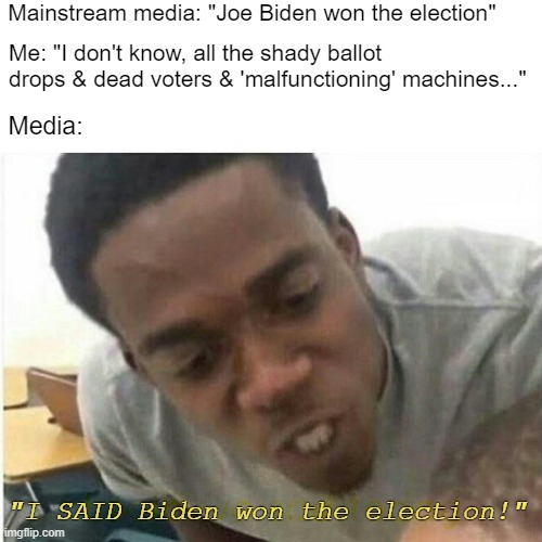 I SAID... | Mainstream media: "Joe Biden won the election"; Me: "I don't know, all the shady ballot drops & dead voters & 'malfunctioning' machines..."; Media:; "I SAID Biden won the election!" | image tagged in i said,election 2020,stopthesteal,president elect biden lmfao,trump 2020 | made w/ Imgflip meme maker