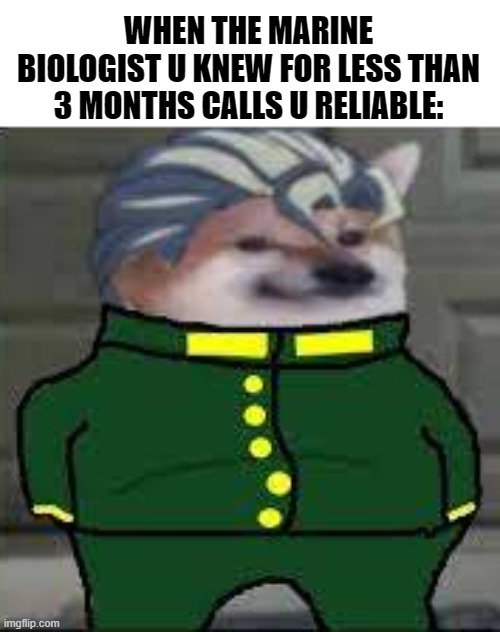 JoJo Memes (I stole the meme from a yt meme copilation) |  WHEN THE MARINE BIOLOGIST U KNEW FOR LESS THAN 3 MONTHS CALLS U RELIABLE: | image tagged in jojo's bizarre adventure,cheems,doge,stolen meme | made w/ Imgflip meme maker
