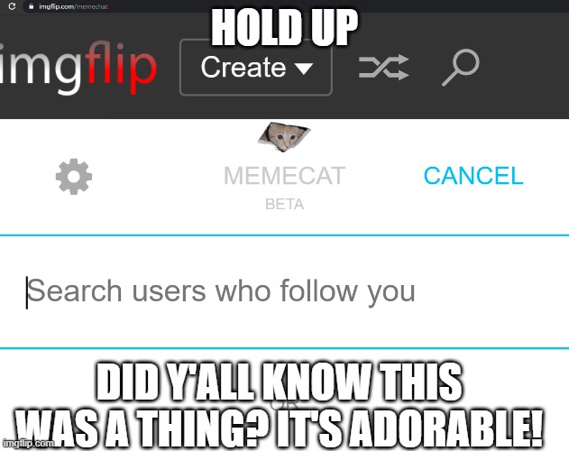 WHAT IS THIS ITS SO CUTE | HOLD UP; DID Y'ALL KNOW THIS WAS A THING? IT'S ADORABLE! | made w/ Imgflip meme maker