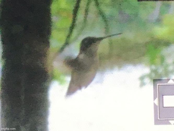 This one 2 | image tagged in lol | made w/ Imgflip meme maker