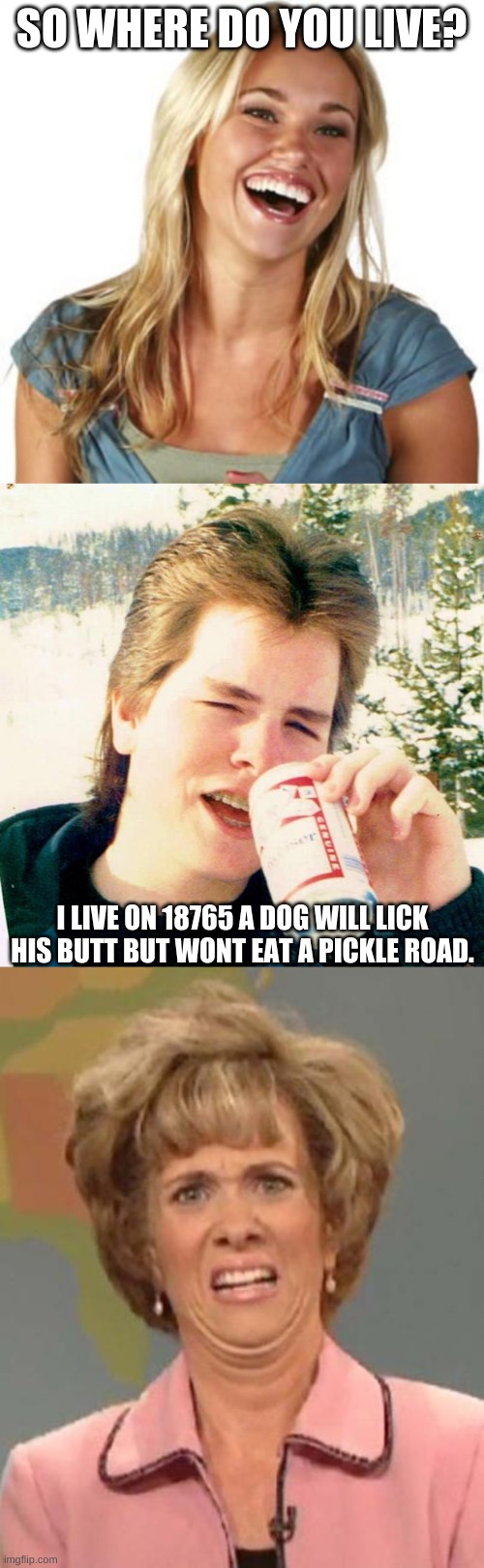 SO WHERE DO YOU LIVE? I LIVE ON 18765 A DOG WILL LICK HIS BUTT BUT WONT EAT A PICKLE ROAD. | image tagged in memes,friend zone fiona,eighties teen,disgusted kristin wiig | made w/ Imgflip meme maker