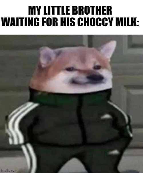 want some choccy milk? |  MY LITTLE BROTHER WAITING FOR HIS CHOCCY MILK: | image tagged in cheems with adidas,choccy milk | made w/ Imgflip meme maker