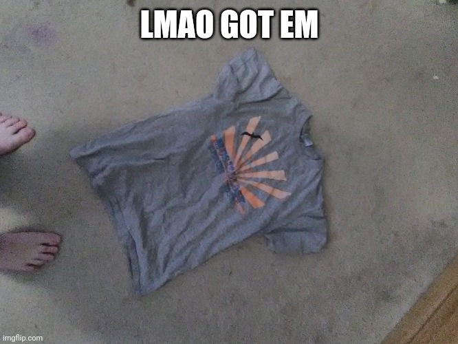 Shirtless pic | LMAO GOT EM | image tagged in trolling | made w/ Imgflip meme maker
