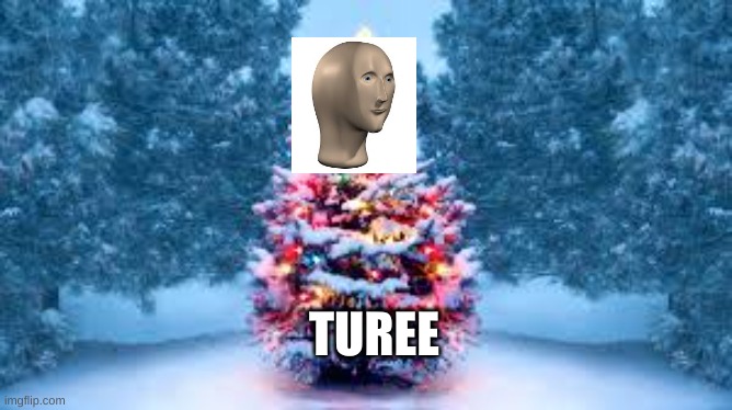 Turee |  TUREE | image tagged in meme man | made w/ Imgflip meme maker