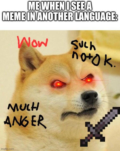 Seriously though..... STOP! | ME WHEN I SEE A MEME IN ANOTHER LANGUAGE: | image tagged in confused angery doge | made w/ Imgflip meme maker