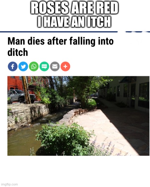 That must be a big ditch | ROSES ARE RED; I HAVE AN ITCH | image tagged in itch,memes,ditch,fun | made w/ Imgflip meme maker