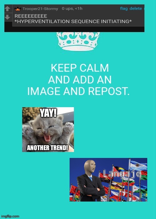 made w/ Imgflip meme maker