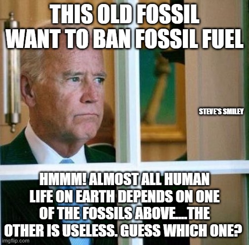 politics | STEVE'S SMILEY | image tagged in political meme | made w/ Imgflip meme maker