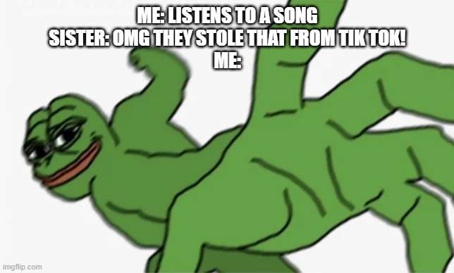 Shut your mouth you naive idiot | ME: LISTENS TO A SONG
SISTER: OMG THEY STOLE THAT FROM TIK TOK!
ME: | image tagged in pepe punch,memes,siblings,sibling rivalry,sister,tik tok | made w/ Imgflip meme maker