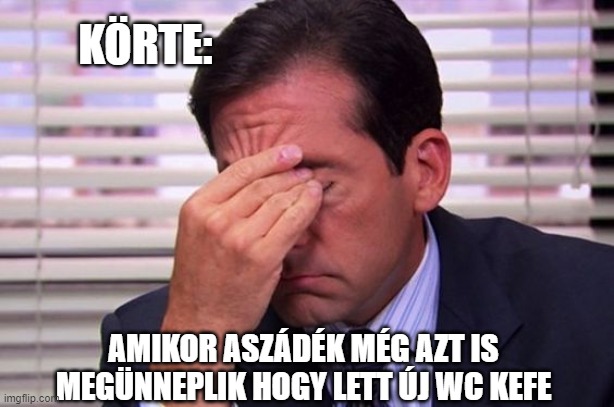 KÖRTE:; AMIKOR ASZÁDÉK MÉG AZT IS MEGÜNNEPLIK HOGY LETT ÚJ WC KEFE | made w/ Imgflip meme maker