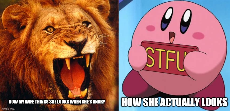 Gf | HOW SHE ACTUALLY LOOKS; HOW MY WIFE THINKS SHE LOOKS WHEN SHE'S ANGRY | image tagged in wife,funny memes | made w/ Imgflip meme maker