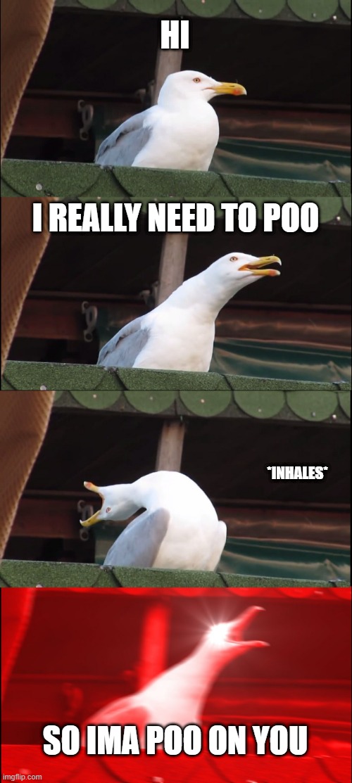 Inhaling Seagull Meme | HI; I REALLY NEED TO POO; *INHALES*; SO IMA POO ON YOU | image tagged in memes,inhaling seagull | made w/ Imgflip meme maker
