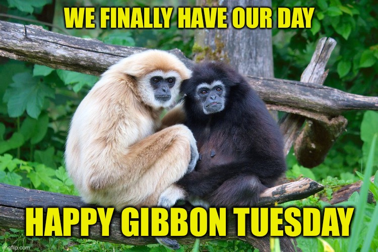 It’s About Time | WE FINALLY HAVE OUR DAY; HAPPY GIBBON TUESDAY | image tagged in giving tuesday,gibbon,holiday | made w/ Imgflip meme maker