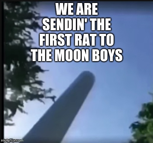 WE ARE SENDIN' THE FIRST RAT TO THE MOON BOYS | made w/ Imgflip meme maker